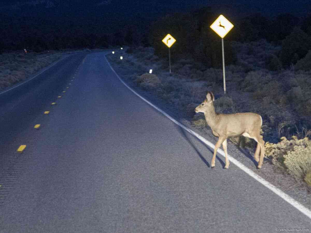 The Bookless Club: What are your 'deer in the headlights' encounters?