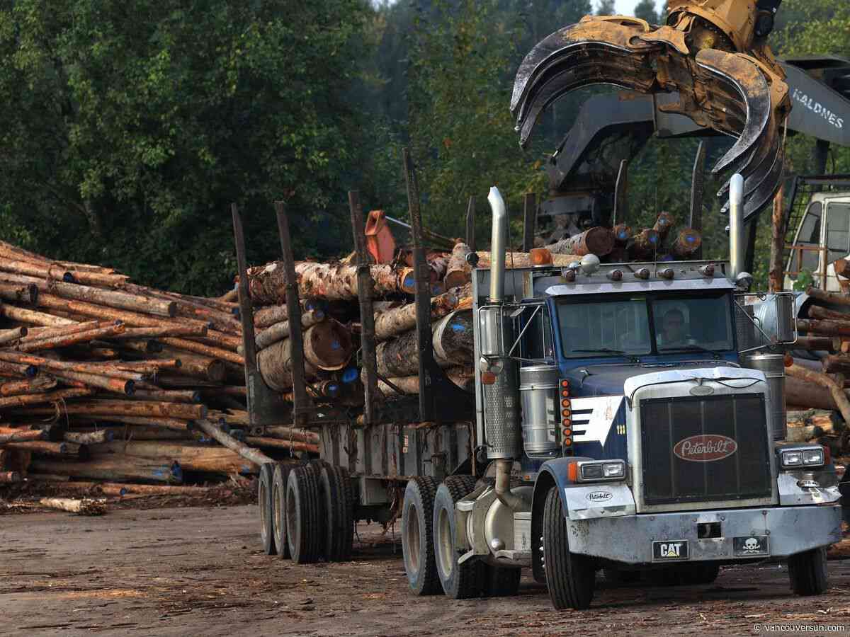 Opinion: B.C. needs more than major projects to build a strong economy 