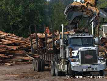 Opinion: B.C. needs more than major projects to build a strong economy 