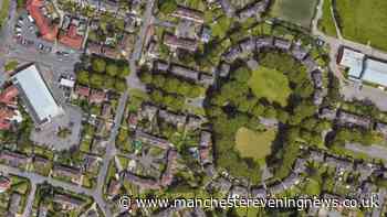 Police appeal for witnesses after 'woman pushed out of moving van by bald Transit driver'