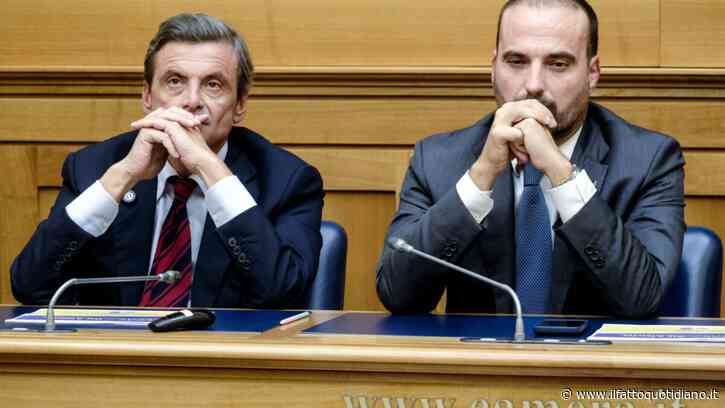 Marattin si offre al centrodestra: “Se son rose fioriranno”. Calenda lo attacca: “Va a fare il cespuglio con Salvini”