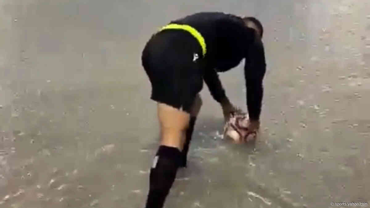 😅 Game on? Ref tests ball on flooded pitch, video goes viral