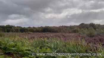 It just looks like a bog near Wilmslow, but it's much more than that