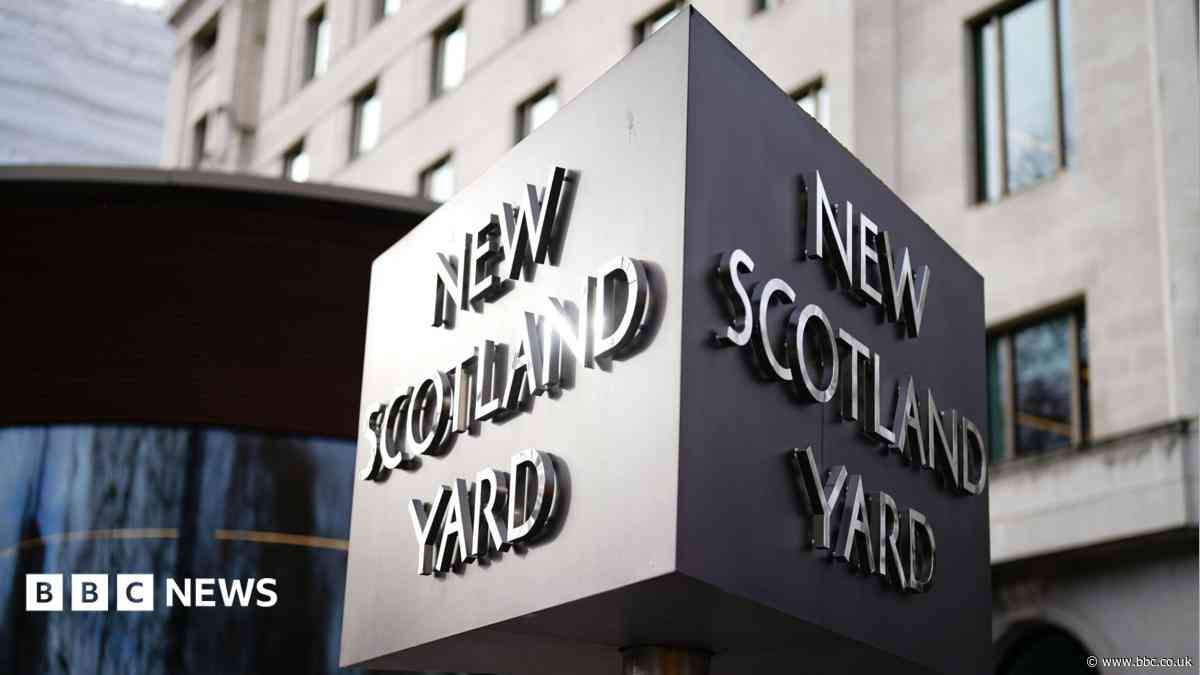 No further action against government adviser's wife over Palestine Action post, police say