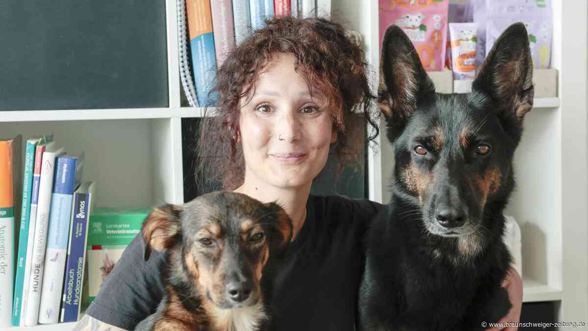 „Hauptfeldwebel Lu“ kümmert sich jetzt um die Gesundheit von Hunden