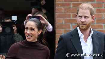 Harry and Meghan's pal insists couple are 'royals who work' in row over title
