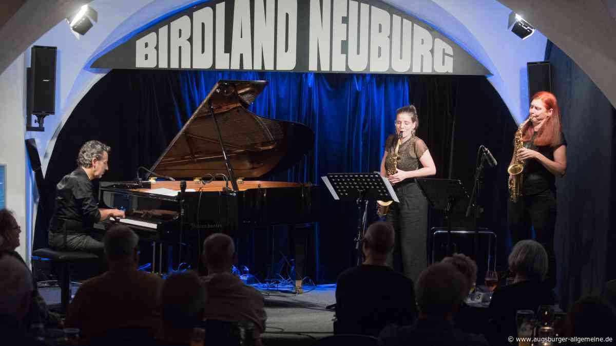 Lotus Flower Trio im Neuburger Birdland: Musik für eine bessere Welt
