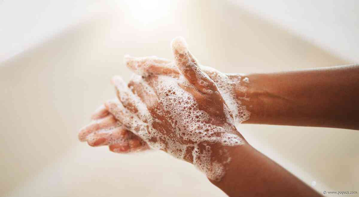 Wash your hands. There’s probably poop on them.
