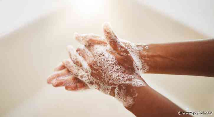 Wash your hands. There’s probably poop on them.