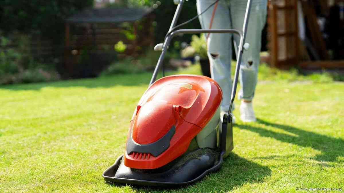 Gardening expert reveals exact time to cut your lawn before winter to avoid damage
