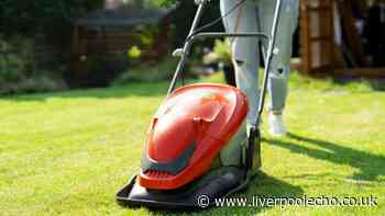 Gardening expert reveals exact time to cut your lawn before winter to avoid damage