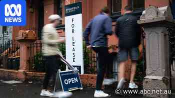 Multi-family households now 20pc of rental applications, says realtor