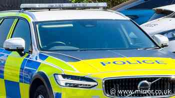 Three officers injured after 'lorry on wrong side of the road hits police car'
