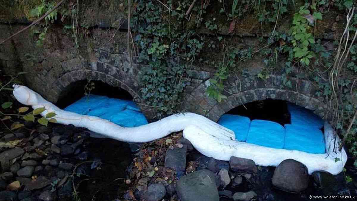 Fuel continues to leak into River Taff as experts hunt source