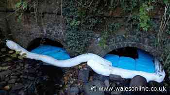 Fuel continues to leak into River Taff as experts hunt source