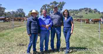 How a Google search led these UK beef producers to source Australian genetics