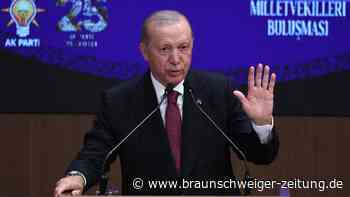 Kampf gegen türkische Opposition: „Kommt zu Erdogan oder geht in den Knast!“