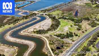 Council moves to block Coles store near protected wetlands