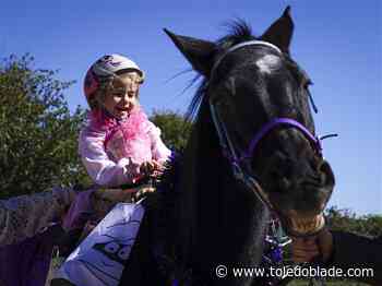 Cantering for candy: Equine therapy program offers trick-or-treating on horseback