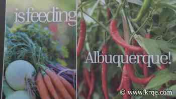 City of Albuquerque launches Backyard Harvest Share supporting local food pantries