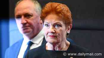 Pauline Hanson reveals plan to reverse Labor's tax changes and declares: 'Australians should be able to work hard, invest and get ahead'