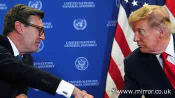 Andy Burnham faces significant demand to join EU after Donald Trump 'unreliability'