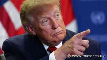 Trump launches attack on 'foolish' Zelensky in extraordinary rant urging Ukraine to surrender