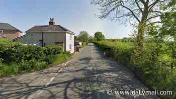 Two teenagers are dead after a two-car crash in Suffolk