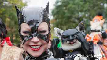 Happy Howl-o-ween! Dogs don their best fancy dress for spooky street party