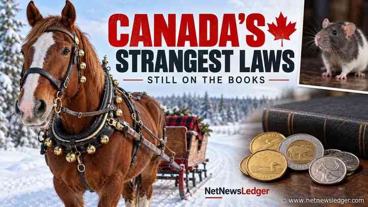 Sleigh Bells, Pet Rats and Pocket Change: Six Unusual Canadian Laws Still on the Books