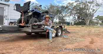 An inside glimpse of modern droving: why walking cattle beats agistment