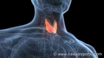 Use Your Voice to Heal Your Thyroid