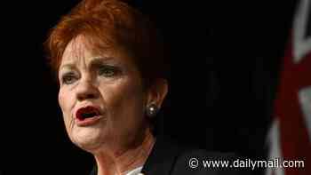 Pauline Hanson issues dire warning that French-style riots 'will come to Australia' unless mass migration is stopped