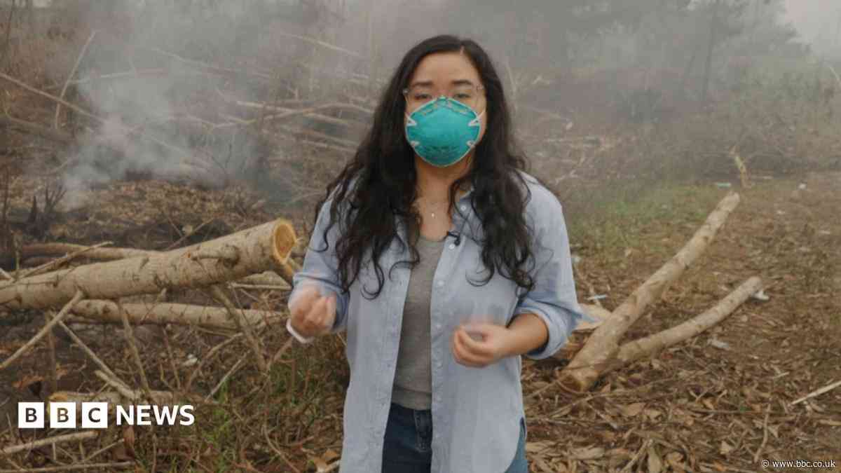 BBC visits wildfire front in haze-choked Indonesia