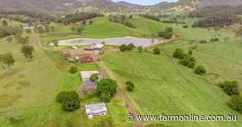 Highly developed Neusa Vale backgrounding 3000-plus cattle a year | Video