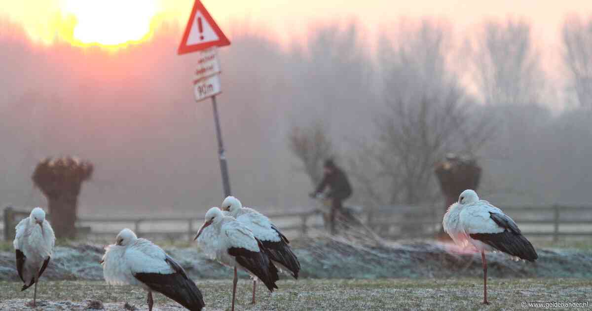 Zon breekt in de loop van maandag door, in de nacht kans op eerste vorst