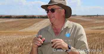 Mouse numbers are on the rise again in WA, here's how to protect your paddocks
