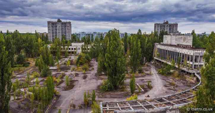‘Dark tourism’ — good, bad, or downright problematic? - UK news ...