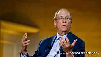 Interview: Blackrock-Chef Fink: „Die wichtigste Reform in Deutschland sind schnellere Genehmigungsverfahren“
