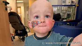 Wirral toddler given life-saving transplant after Merseyside-wide appeal