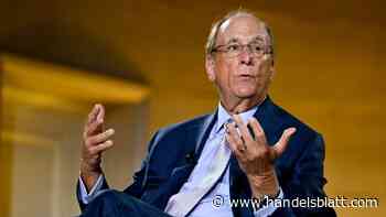 Interview: Blackrock-Chef Larry Fink: „Solche Investitionsmöglichkeiten gab es seit 30 Jahren nicht“