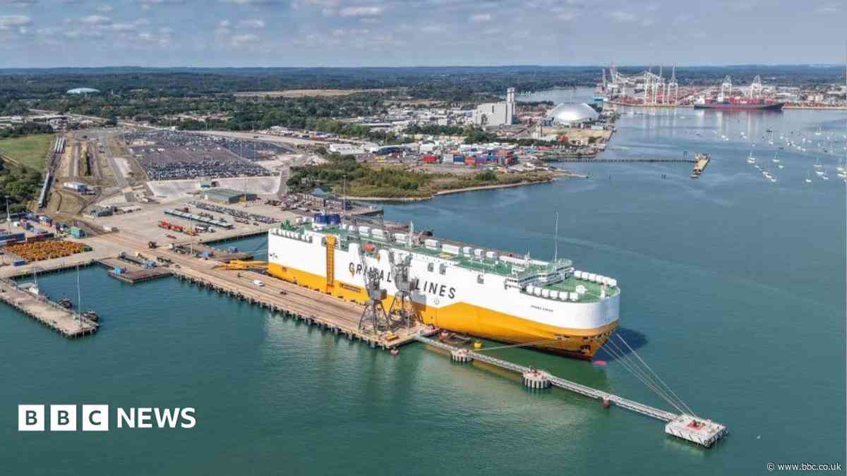 Port operator withdraws vehicle terminal plans