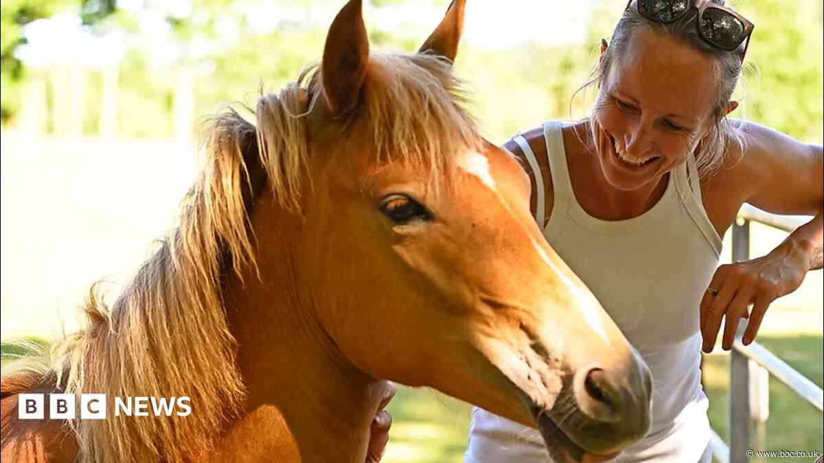 Rider warns of out-of-control dogs year on from fall