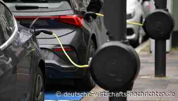 Elektromobilität: Wo Elektroautos besonders boomen