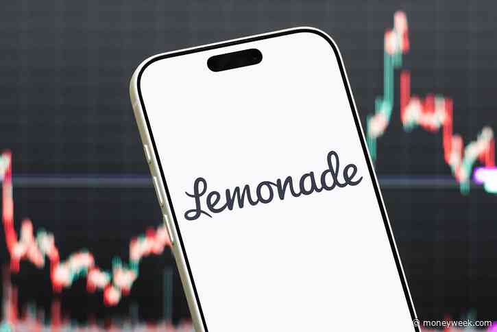 ‘Investors will sour on insurer Lemonade’