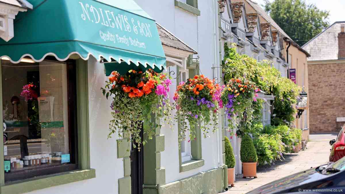 The full list of Wales in Bloom winners for 2026