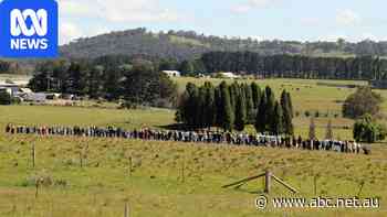 Six-year plastics factory fight takes toll on Moss Vale residents