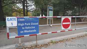 No cars in High Park? City councillor candidates in Ward 4 clash over redesign plan
