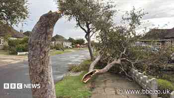 Rare waterspout may have damaged trees at seaside town