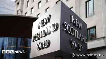No further action against government adviser's wife over Palestine Action post, police say
